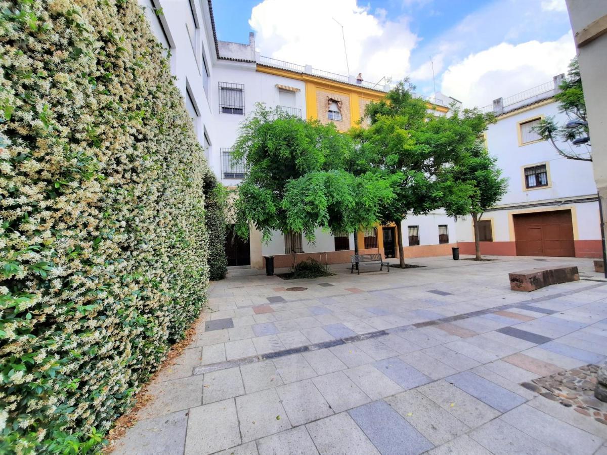 科爾多瓦San Pedro Parking Gratis Coche Mediano公寓 外观 照片